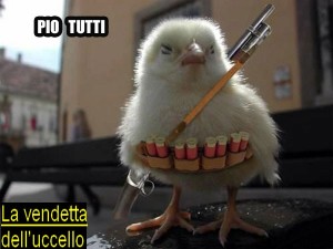 uccellino