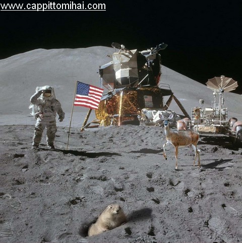 Moon-landing-hoax